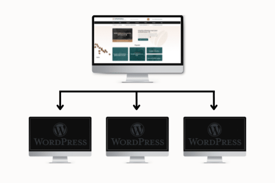 WordPress Multisite blog - banner