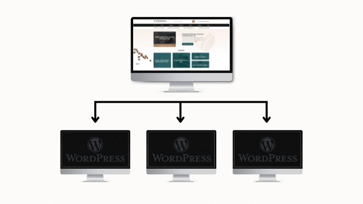 WordPress Multisite blog - banner